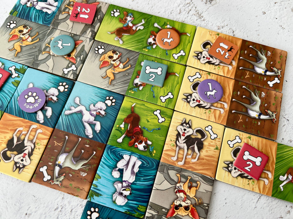 Zoomies Board Games Fireside Games