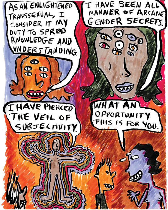 Enlightened Transsexual Comix - by Sam Szabo Book Silver Sprocket   
