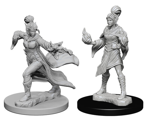 Pathfinder Deep Cuts Unpainted Miniatures: W1 Elf Female Sorcerer Miniatures NECA   