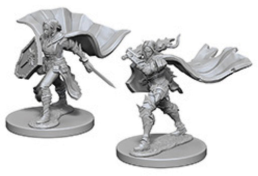 Pathfinder Deep Cuts Unpainted Miniatures: W4 Elf Female Paladin Miniatures NECA   