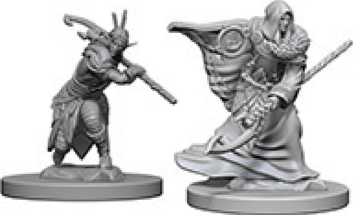Dungeons & Dragons Nolzur`s Marvelous Unpainted Miniatures: W4 Elf Male Druid Miniatures NECA   