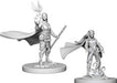 Dungeons & Dragons Nolzur`s Marvelous Unpainted Miniatures: W4 Elf Female Druid Miniatures NECA   