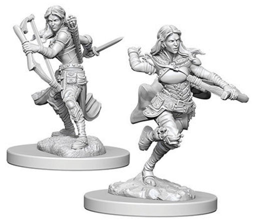 Dungeons & Dragons Nolzur`s Marvelous Unpainted Miniatures: W4 Air Genasi Female Rogue Miniatures NECA   