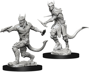 Dungeons & Dragons Nolzur`s Marvelous Unpainted Miniatures: W5 Tiefling Male Rogue Miniatures NECA   