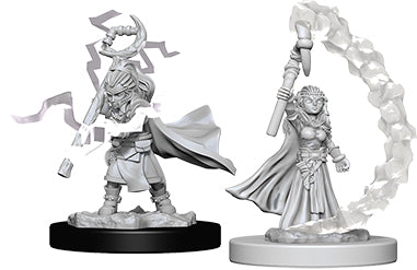 Pathfinder Deep Cuts Unpainted Miniatures: W5 Gnome Female Sorcerer Miniatures NECA   