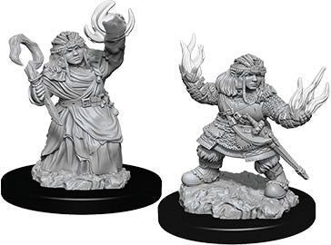 Pathfinder Deep Cuts Unpainted Miniatures: W7 Female Dwarf Summoner Miniatures NECA   