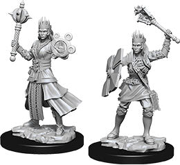 Dungeons & Dragons Nolzur`s Marvelous Unpainted Miniatures: W8 Female Human Cleric Miniatures NECA   