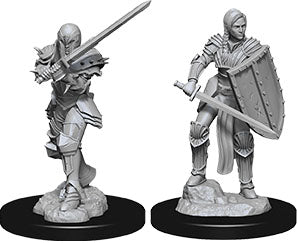 Dungeons & Dragons Nolzur`s Marvelous Unpainted Miniatures: W9 Female Human Fighter Miniatures NECA   