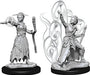 Dungeons & Dragons Nolzur`s Marvelous Unpainted Miniatures: W10 Female Human Warlock Miniatures NECA   