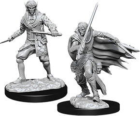 Pathfinder Deep Cuts Unpainted Miniatures: W10 Male Elf Rogue Miniatures NECA   