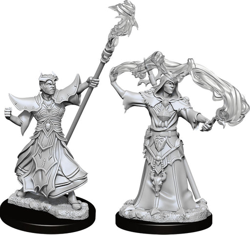 Pathfinder Deep Cuts Unpainted Miniatures: W11 Male Human Sorcerer Miniatures NECA   