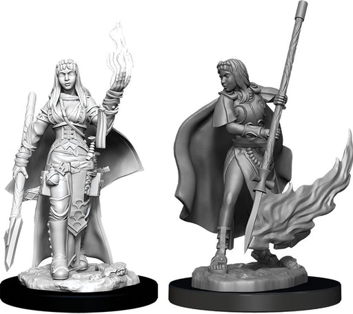 Pathfinder Deep Cuts Unpainted Miniatures: W11 Female Human Oracle (Magic User) Miniatures NECA   