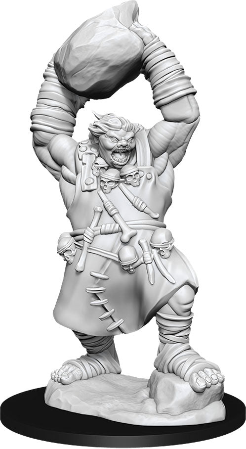 Pathfinder Deep Cuts Unpainted Miniatures: W11 Ogre Miniatures NECA   