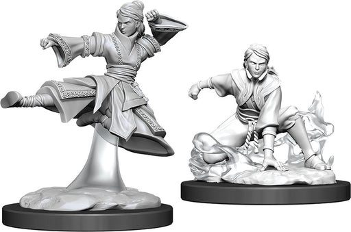 Dungeons & Dragons Nolzur`s Marvelous Unpainted Miniatures: W11 Female Human Monk Miniatures NECA   
