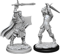 Dungeons & Dragons Nolzur`s Marvelous Unpainted Miniatures: W12 Male Human Paladin Miniatures WizKids   