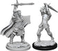 Dungeons & Dragons Nolzur`s Marvelous Unpainted Miniatures: W12 Male Human Paladin Miniatures WizKids   