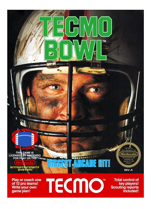 Tecmo Bowl - NES - Complete Video Games Nintendo   