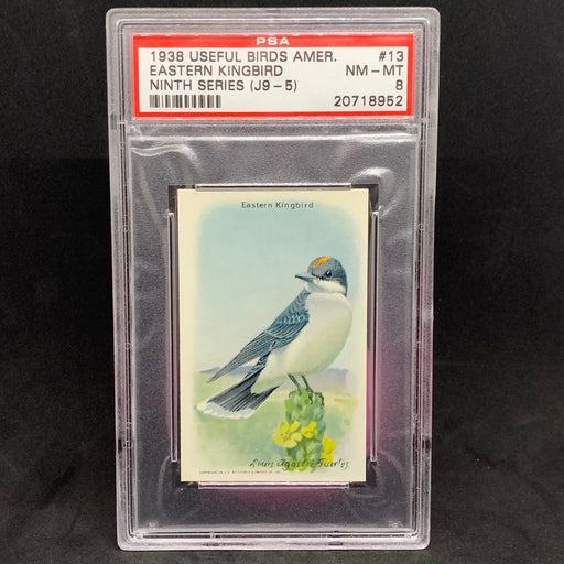 Useful Birds of America - 1938 - 13 - Eastern Kingbird - PSA 8 Vintage Trading Card Singles Impel   