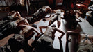Patty Hearst - Blu-Ray - Limited Edition Slipcover - Sealed Media Vinegar Syndrome   