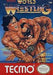 Tecmo World Wrestling - NES - Loose Video Games Nintendo   