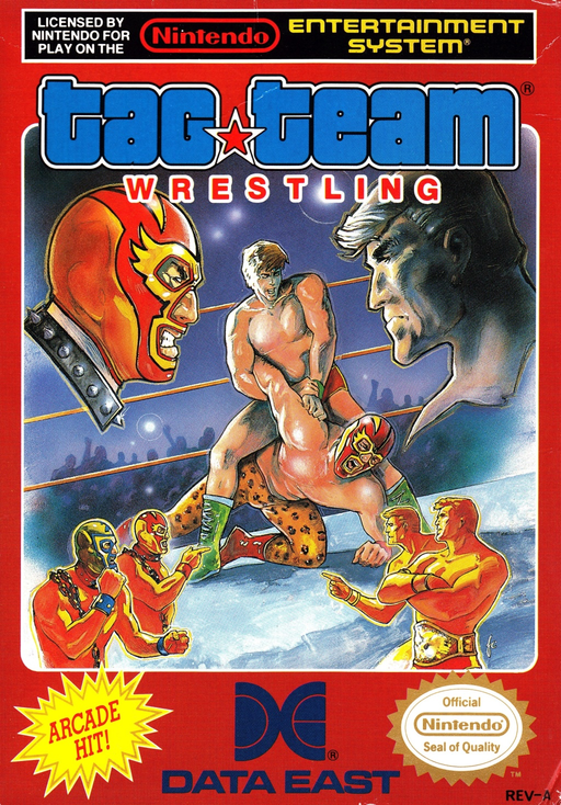Tag Team Wrestling - NES - Loose Video Games Nintendo   
