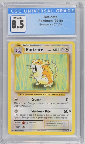 Pokemon - Raticate - Evolutions 2016 - CGC 8.5 Vintage Trading Card Singles Pokemon   