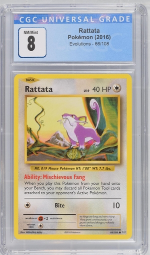 Pokemon - Rattata - Evolutions 2016 - 8.0 Vintage Trading Card Singles Pokemon   