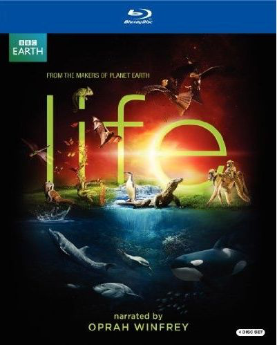 Life: Season 1 - Blu-Ray Media Heroic Goods and Games   