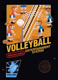 Volleyball - NES - Loose Video Games Nintendo   