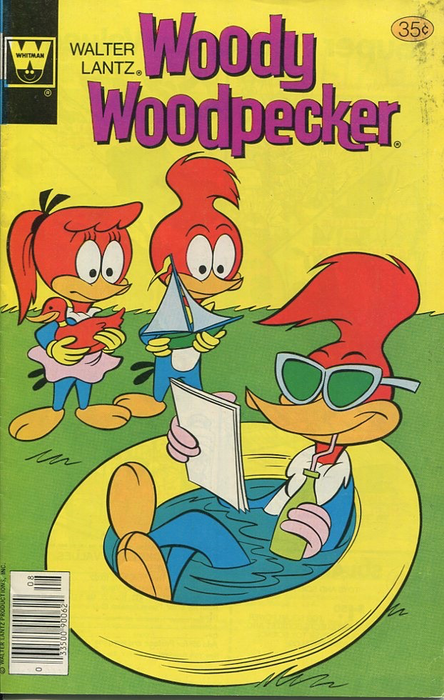 Woody Woodpecker, Vol. 1 #169 Comics Gold Key   