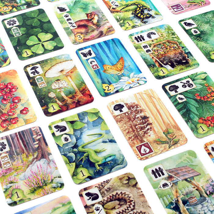 Meadow Board Games ASMODEE NORTH AMERICA   